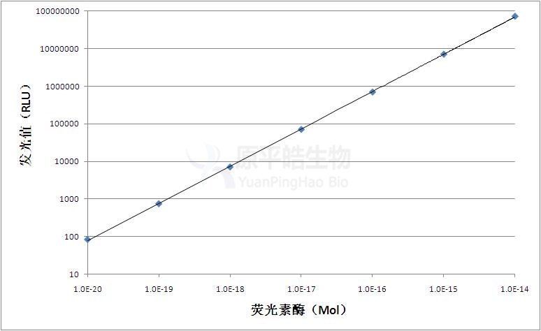 萤火虫荧光素酶报告基因发光检测